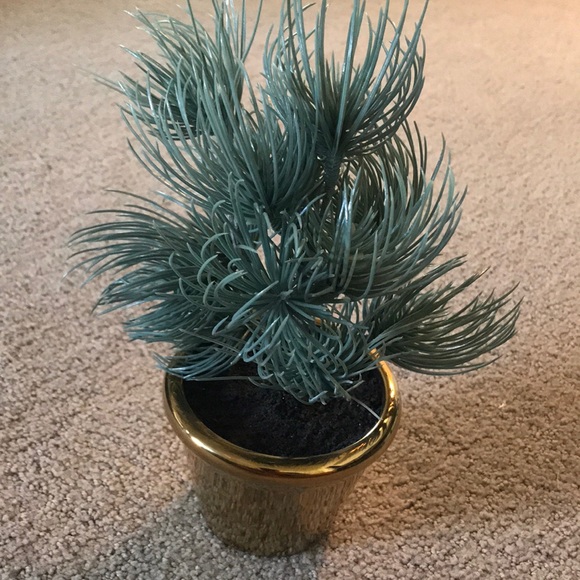 CB2 Accents Cb2 Faux Plant Poshmark